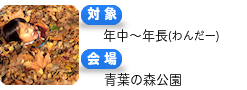 葉っぱのわんだーらんど