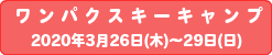 ワンパクスキー