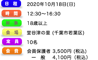 竹の大ドーム作りに挑戦 あーす楽園 Ein 体験による自己の成長