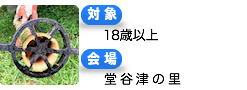 竹ドーム